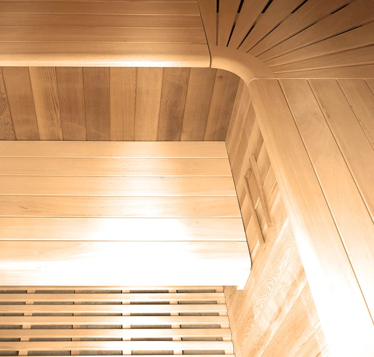 Holl's Eccolo 6 interior, two tiers of bench with headrests